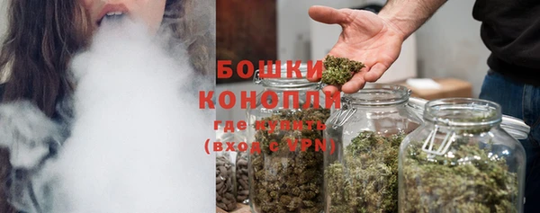 прущий лед Каменка