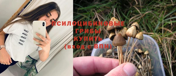 прущий лед Каменка