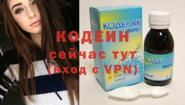 прущий лед Каменка