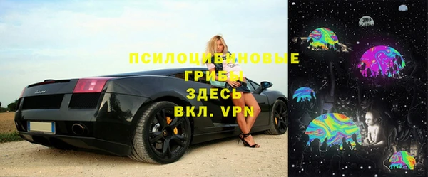 прущий лед Каменка