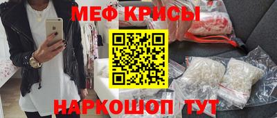 стаф Гай