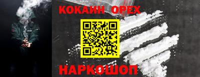 стаф Гай