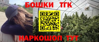 стаф Гай