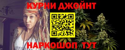 стаф Гай