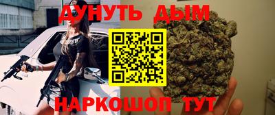 стаф Гай