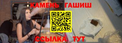 стаф Гай