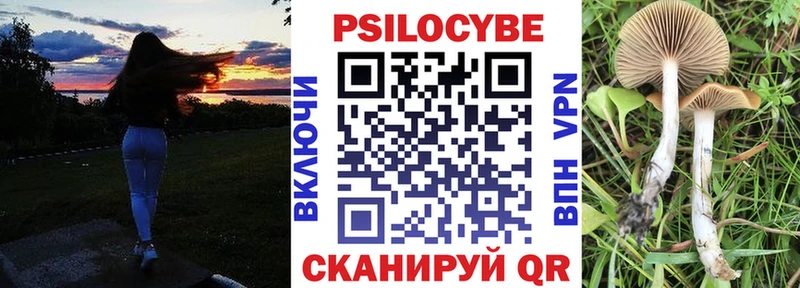 Галлюциногенные грибы GOLDEN TEACHER купить наркотик Ноябрьск