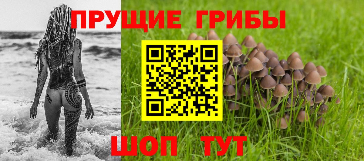 Ноябрьск  Псилоцибиновые грибы Psilocybe  Псилоцибиновые грибы MAGIC MUSHROOMS  как найти закладки  Вход с VPN 