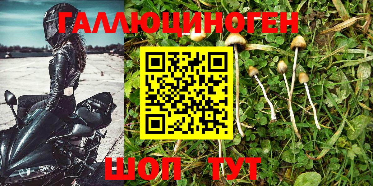 Галлюциногенные грибы ЛСД  закладки  Ноябрьск 