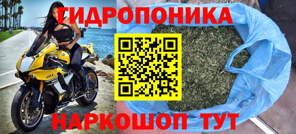 Шишки марихуана White Widow  Марихуана индика  Ноябрьск  Шишки марихуана SATIVA & INDICA 